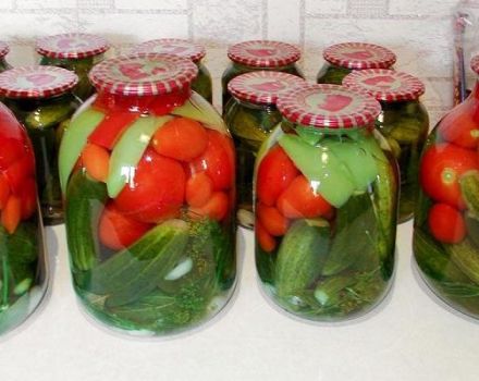 TOP 8 delicious recipes for pickled cucumbers with tomatoes for the winter
