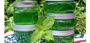 A simple recipe for making mint jam with lemon for the winter