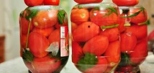 Oppskrift for å lage syltede tomater med et kirsebærblad til vinteren