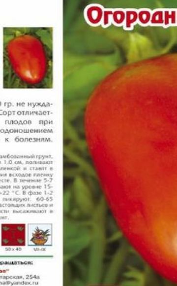 Opis odrody paradajok Záhradný čarodejník, jeho vlastnosti a produktivita