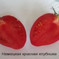 Beschrijving van de tomatensoort Duitse rode aardbei, zijn kenmerken en opbrengst