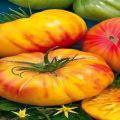 Beschrijving en kenmerken van de tomatenvariëteit Honinggroet