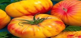 Περιγραφή και χαρακτηριστικά της ποικιλίας ντομάτας Χαιρετισμός μελιού