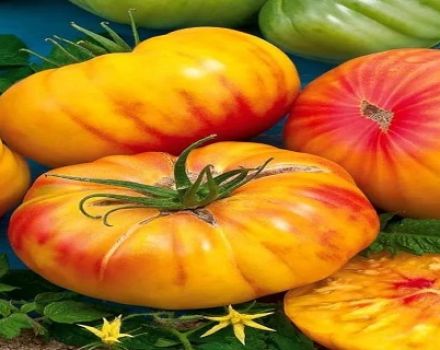 Tomaattilajikkeen Hunaja tervehdys kuvaus ja ominaisuudet