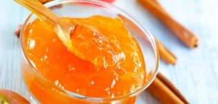 4 pinakamahusay na mga recipe para sa aprikot at apple jam para sa taglamig
