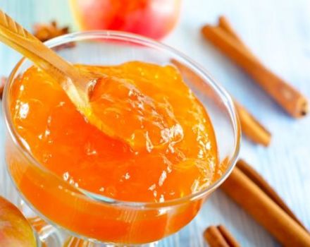 4 pinakamahusay na mga recipe para sa aprikot at apple jam para sa taglamig