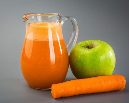 Recept för äpple- och morotjuice för vintern hemma genom en juicepress