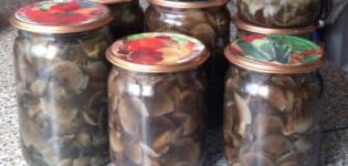 TOP 10 recipes for marinating barn mushrooms at home for the winter