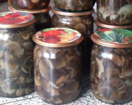 A 10 legfontosabb recept a pajta gombák pácolásához otthon télen