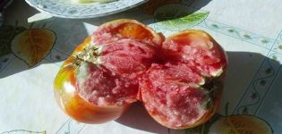 Descrierea soiului de tomate Calibrul principal f1 și caracteristicile acestuia