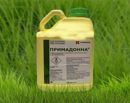 Instruktioner för användning av herbicid Primadonna