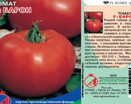 Beschrijving van de tomatenvariëteit Baron en zijn kenmerken