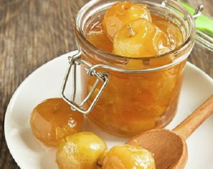Una recepta senzilla per fer melmelada de ranetki per a l’hivern