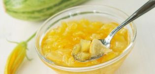 13 masarap na mga recipe para sa paggawa ng zucchini jam na may lemon para sa taglamig