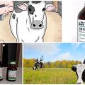 Istruzioni per l'uso di Nitox 200 per bovini, dosaggio e controindicazioni
