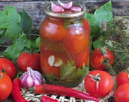 TOP 4 herkullisia reseptejä tomaatti-purkitettuja tomaatteja chili-ketsupilla talveksi
