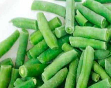 How to properly freeze green beans for the winter at home, recipes