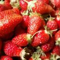 Description et caractéristiques de la variété de fraises Cendrillon, plantation et entretien
