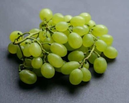 Description and characteristics, resistance to diseases of the Daria grape variety and growing rules
