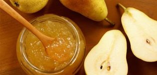 21 yksinkertaista reseptiä päärynähillojen valmistamiseksi talveksi kotona