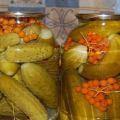 4 best recipes for canned rowan cucumbers for the winter