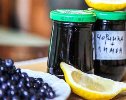 Det bästa receptet för att göra blåbärssylt med citron för vintern