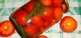 10 beste recepten voor het beitsen van tomaten voor de winter in honingsaus met knoflook