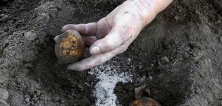 Warstwa wierzchnia ziemniaków z monofosforanem potasu, właściwości nawozowe i zasady stosowania