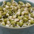 Description of the pea variety Mash, useful and harmful properties