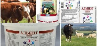 Instructies voor gebruik en samenstelling van Albena voor vee, dosering en analogen