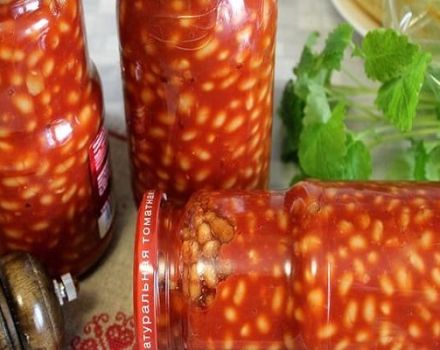 Top 10 pinakamahusay na mga recipe para sa canning beans para sa taglamig sa garapon ay dilaan mo ang iyong mga daliri