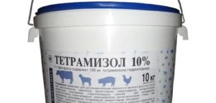 Instructies voor het gebruik van Tetramisol 10 voor varkens, contra-indicaties en analogen