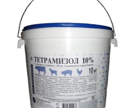 Instructions for the use of Tetramisole 10 for pigs, contraindications and analogues