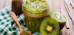 Ein einfaches Rezept für die Zubereitung von Kiwi und Bananenmarmelade für den Winter