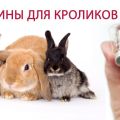 تعليمات استخدام لقاح HBV للأرانب وأنواع التطعيمات والجرعات