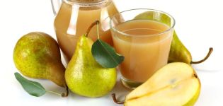 Simple recipes for making pear juice through a juicer, in a juicer and in the traditional way for the winter