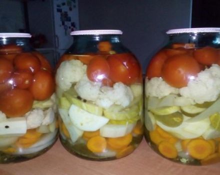 Het beste recept om van een groenteschotel te rollen - komkommers, tomaten en courgette voor de winter