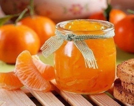 Egyszerű receptek mandarin lekvár készítéséhez télen