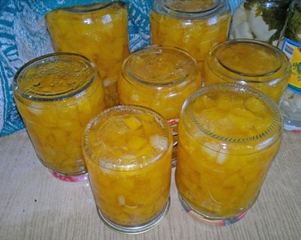 13 parhainta reseptiä sitruunahillon valmistamiseksi kuorella