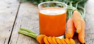 A simple recipe for carrot juice for the winter at home