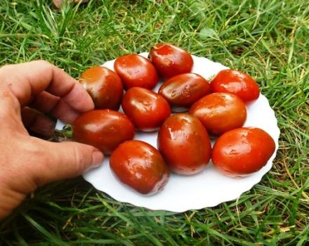 Beskrivelse af variationen af ​​tomatsnødder, anbefalinger til dyrkning og pleje