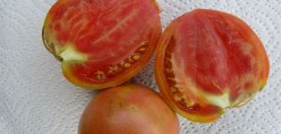 Caractéristiques et description de la variété de tomate Miracle Walford, son rendement
