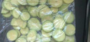 Topp 10 recept för frysning av zucchini färskt och stekt hemma för vintern