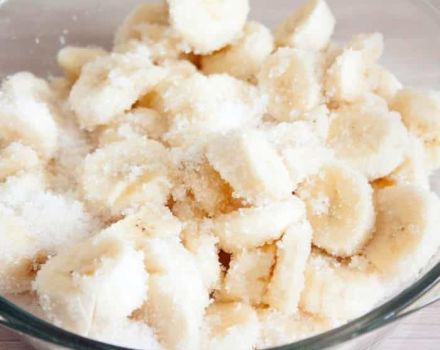 Skanių ir paprastų bananų uogienių receptai žiemai žingsnis po žingsnio