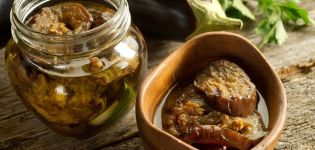The best and most delicious recipes for making pickled eggplant for the winter in jars