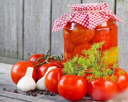 TOP 8 recetas simples y deliciosas para encurtir tomates para el invierno de una manera dulce
