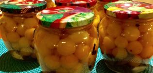 TOP 9 semplici ricette per preparare prugne ciliegie sottaceto per l'inverno