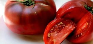 Pomidorų Juodojo Krymo veislės charakteristikos ir aprašymas