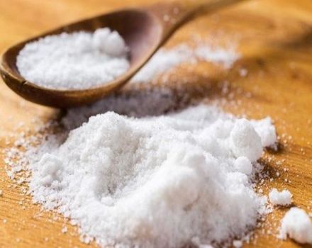 Je li moguće i kako pravilno dati sol pilićima, kada je to nemoguće dodati u prehranu