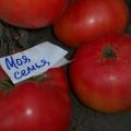 Descrizione della varietà di pomodoro La mia famiglia, caratteristiche di coltivazione e resa